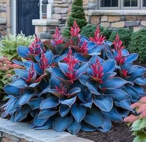 Хоста Грин Фог купить по цене от 669р. в интернет-магазине «Посадика» с доставкой почтой в в Галиче и по всей России – [изображение №1].